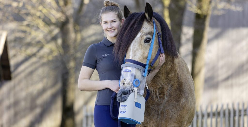 Kleinpferd inhaliert mit Akku-Ultraschall-Inhalator AirOne Flex